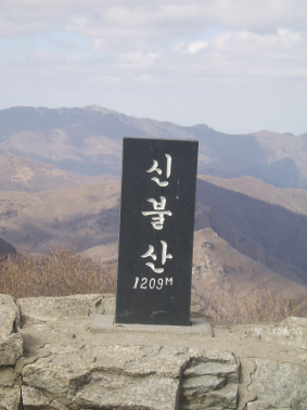 사용자 삽입 이미지